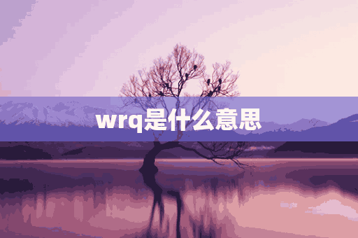 wrq是什么意思